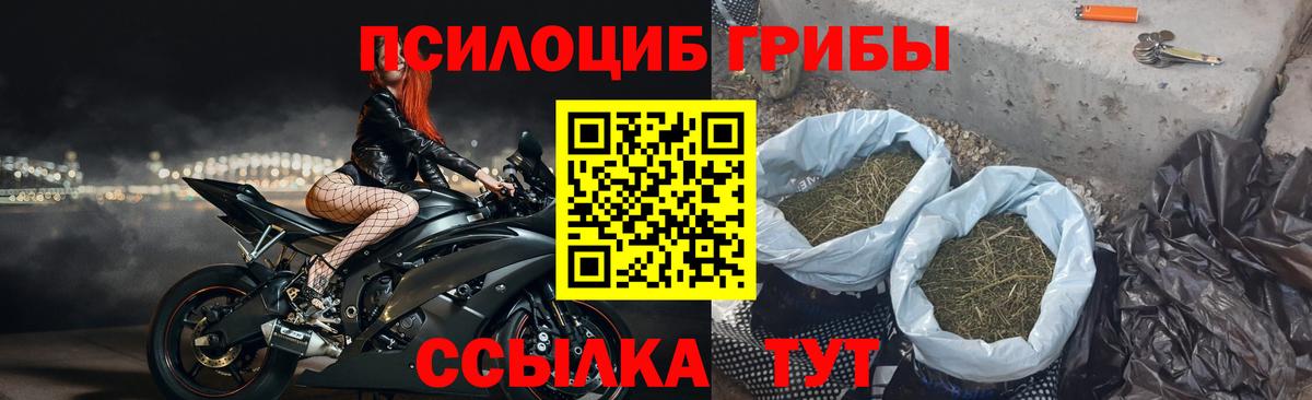 Советский  Галлюциногенные грибы Psilocybe  Вход с VPN 
