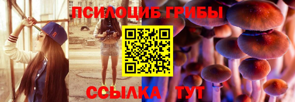 Галлюциногенные грибы мицелий Советский